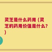 灵芝是什么药用 (灵芝的药用价值是什么？)