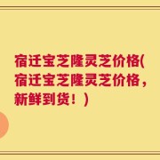 宿迁宝芝隆灵芝价格(宿迁宝芝隆灵芝价格，新鲜到货！)