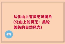从化山上有灵芝吗图片(化山上的灵芝：美轮美奂的自然风光)
