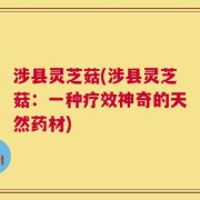 涉县灵芝菇(涉县灵芝菇：一种疗效神奇的天然药材)