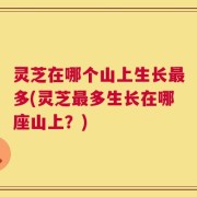灵芝在哪个山上生长最多(灵芝最多生长在哪座山上？)
