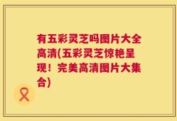 有五彩灵芝吗图片大全高清(五彩灵芝惊艳呈现！完美高清图片大集合)