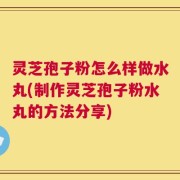 灵芝孢子粉怎么样做水丸(制作灵芝孢子粉水丸的方法分享)