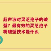 超声波对灵芝孢子的破壁？最有效的灵芝孢子粉破壁技术是什么