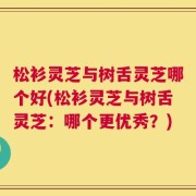 松衫灵芝与树舌灵芝哪个好(松衫灵芝与树舌灵芝：哪个更优秀？)
