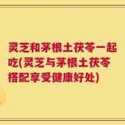 灵芝和茅根土茯苓一起吃(灵芝与茅根土茯苓搭配享受健康好处)