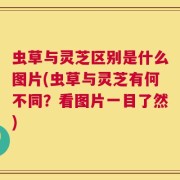 虫草与灵芝区别是什么图片(虫草与灵芝有何不同？看图片一目了然)