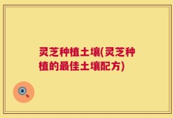 灵芝种植土壤(灵芝种植的最佳土壤配方)