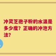 冲灵芝孢子粉的水温是多少度？正确的冲泡方法？