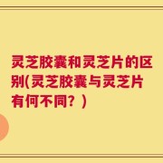 灵芝胶囊和灵芝片的区别(灵芝胶囊与灵芝片有何不同？)