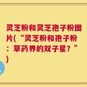 灵芝粉和灵芝孢子粉图片(“灵芝粉和孢子粉：草药界的双子星？”)