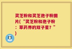 灵芝粉和灵芝孢子粉图片(“灵芝粉和孢子粉：草药界的双子星？”)