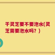 干灵芝要不要泡水(灵芝需要泡水吗？)