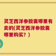 灵芝西洋参胶囊哪里有卖的(灵芝西洋参胶囊哪里购买？)