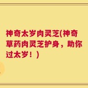 神奇太岁肉灵芝(神奇草药肉灵芝护身，助你过太岁！)