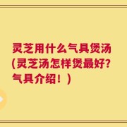 灵芝用什么气具煲汤 (灵芝汤怎样煲最好？气具介绍！)