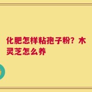 化肥怎样粘孢子粉？木灵芝怎么养