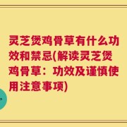 灵芝煲鸡骨草有什么功效和禁忌(解读灵芝煲鸡骨草：功效及谨慎使用注意事项)