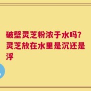 破壁灵芝粉浓于水吗？灵芝放在水里是沉还是浮