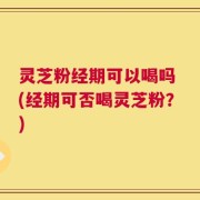 灵芝粉经期可以喝吗 (经期可否喝灵芝粉？)