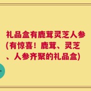 礼品盒有鹿茸灵芝人参(有惊喜！鹿茸、灵芝、人参齐聚的礼品盒)