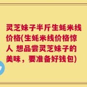 灵芝妹子半斤生蚝米线价格(生蚝米线价格惊人 想品尝灵芝妹子的美味，要准备好钱包)