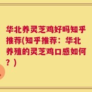 华北养灵芝鸡好吗知乎推荐(知乎推荐：华北养殖的灵芝鸡口感如何？)