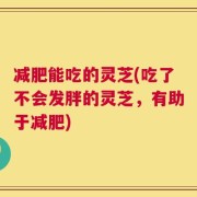 减肥能吃的灵芝(吃了不会发胖的灵芝，有助于减肥)