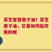 灵芝智慧孢子油？灵芝孢子油，它是如何起作用的呢