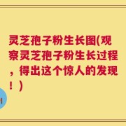 灵芝孢子粉生长图(观察灵芝孢子粉生长过程，得出这个惊人的发现！)