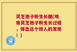 灵芝孢子粉生长图(观察灵芝孢子粉生长过程，得出这个惊人的发现！)