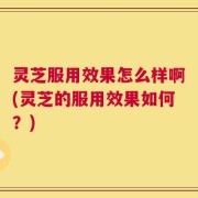灵芝服用效果怎么样啊(灵芝的服用效果如何？)
