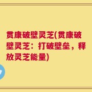 贯康破壁灵芝(贯康破壁灵芝：打破壁垒，释放灵芝能量)