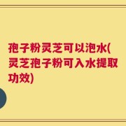 孢子粉灵芝可以泡水(灵芝孢子粉可入水提取功效)