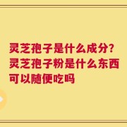 灵芝孢子是什么成分？灵芝孢子粉是什么东西可以随便吃吗