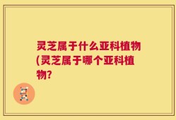 灵芝属于什么亚科植物(灵芝属于哪个亚科植物？