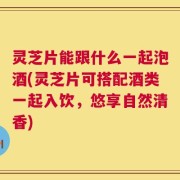 灵芝片能跟什么一起泡酒(灵芝片可搭配酒类一起入饮，悠享自然清香)