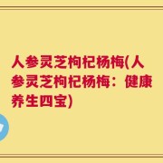 人参灵芝枸杞杨梅(人参灵芝枸杞杨梅：健康养生四宝)