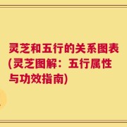 灵芝和五行的关系图表(灵芝图解：五行属性与功效指南)