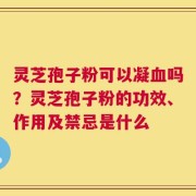 灵芝孢子粉可以凝血吗？灵芝孢子粉的功效、作用及禁忌是什么