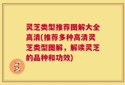 灵芝类型推荐图解大全高清(推荐多种高清灵芝类型图解，解读灵芝的品种和功效)