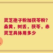 灵芝孢子粉加茯苓粉？桑黄，树舌，茯苓，赤灵芝具体用多少