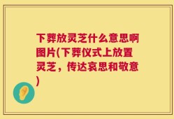 下葬放灵芝什么意思啊图片(下葬仪式上放置灵芝，传达哀思和敬意)