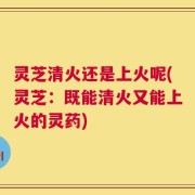 灵芝清火还是上火呢(灵芝：既能清火又能上火的灵药)