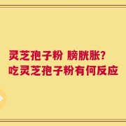 灵芝孢子粉 膀胱胀？吃灵芝孢子粉有何反应