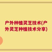 户外种植灵芝技术(户外灵芝种植技术分享)