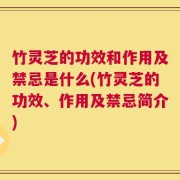 竹灵芝的功效和作用及禁忌是什么(竹灵芝的功效、作用及禁忌简介)