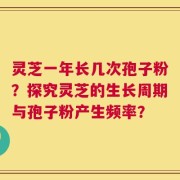 灵芝一年长几次孢子粉？探究灵芝的生长周期与孢子粉产生频率？