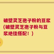 破壁灵芝孢子粉的豆浆(破壁灵芝孢子粉与豆浆绝佳搭配！)