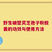 野生破壁灵芝孢子粉胶囊的功效与使用方法